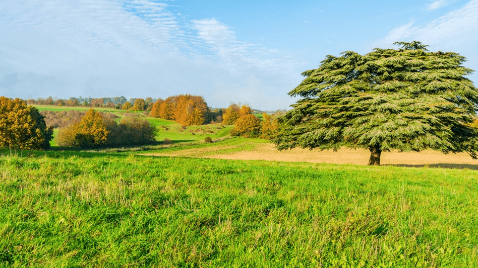 Lullingstone Country Park Kent