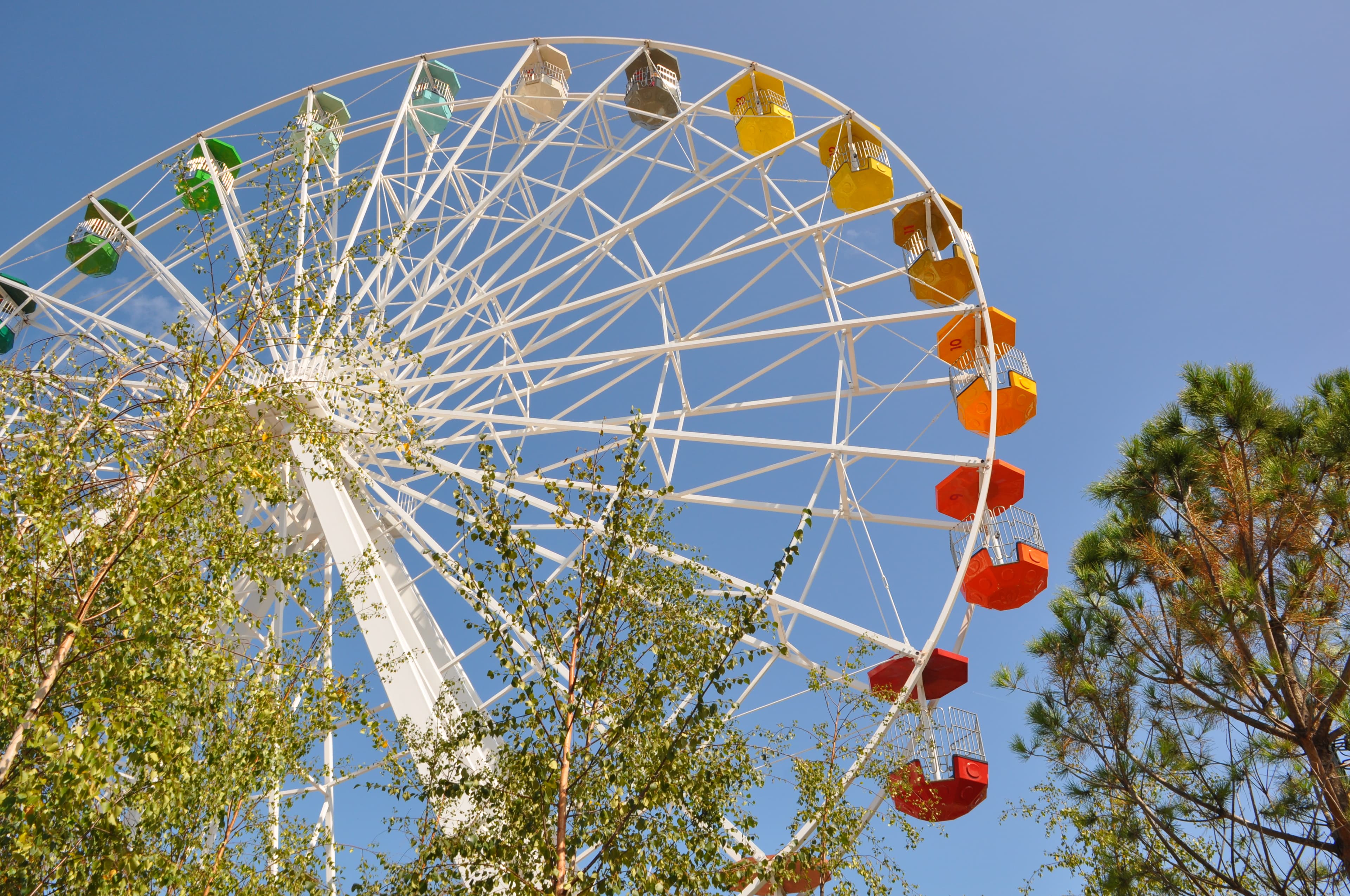 Dreamland - Photo