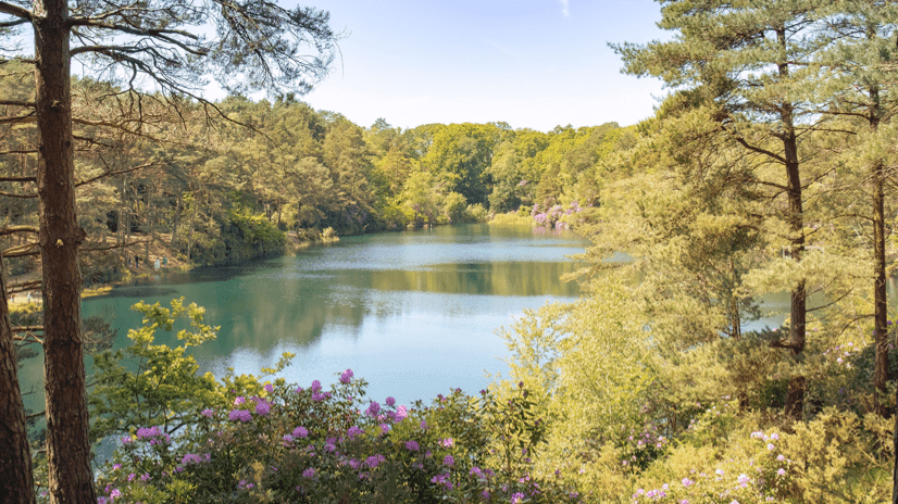 The Blue Pool