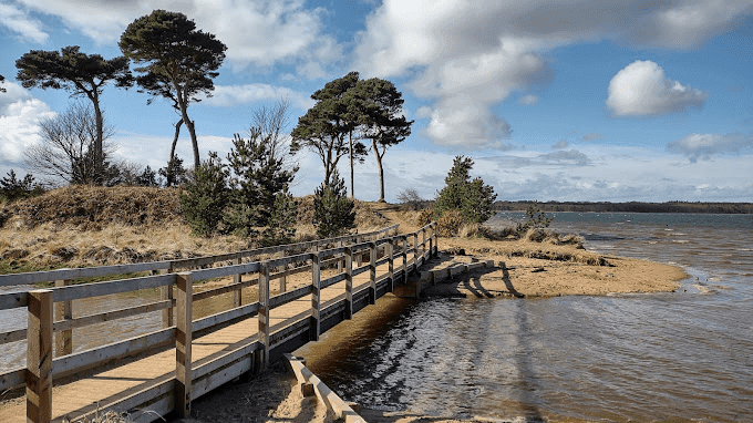 John Muir Country Park - Photo