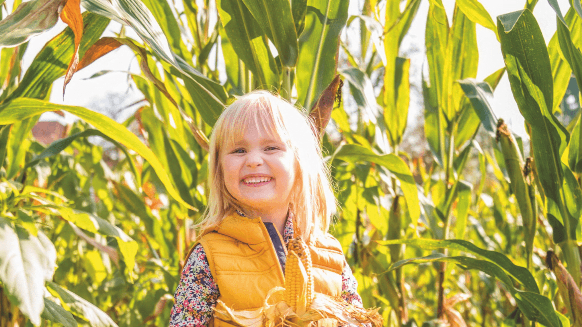 Farmer John’s Maize Maze & Pumpkin Patch - Photo