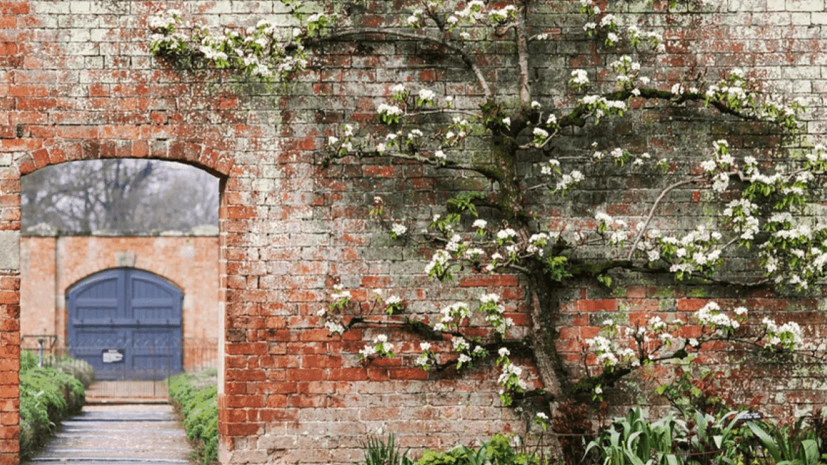 National Trust Attingham Park - Photo
