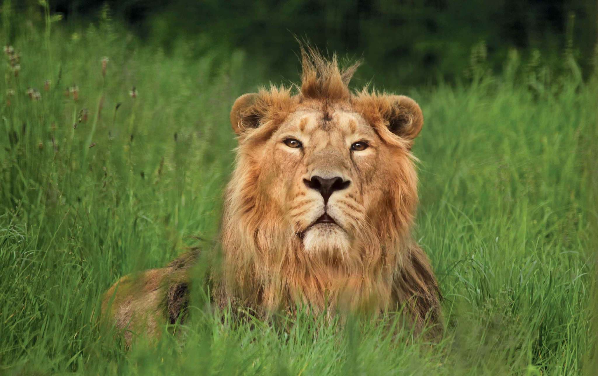 Cotswold Wildlife Park and Gardens