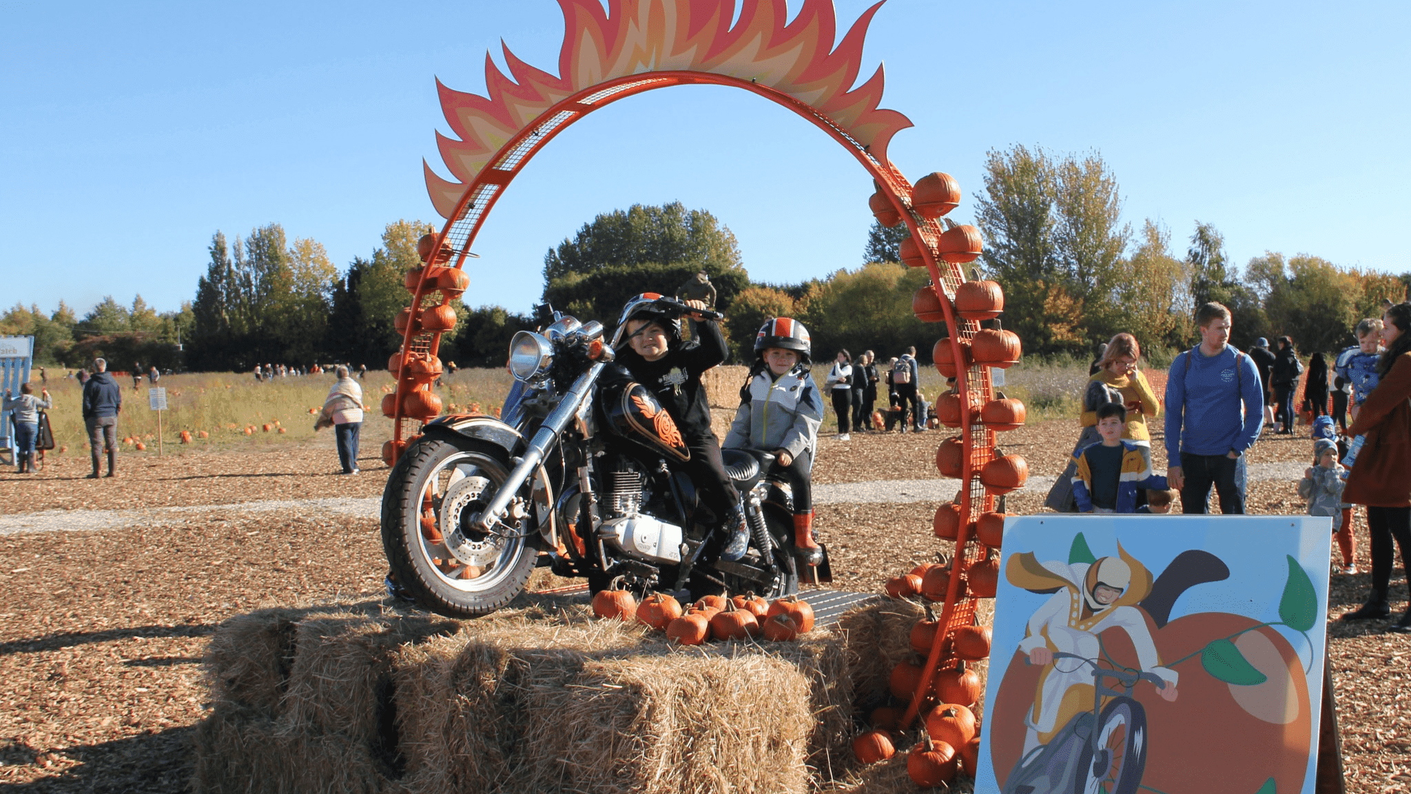 Pumpkin Picking at Bell's Pumpkin Patch - Photo