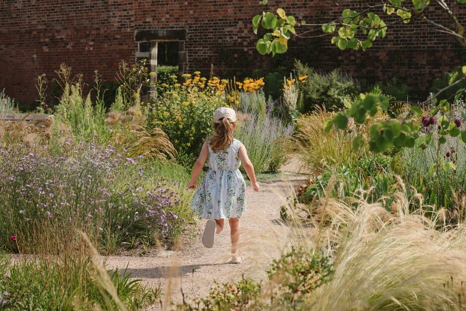 RHS Garden Bridgewater
