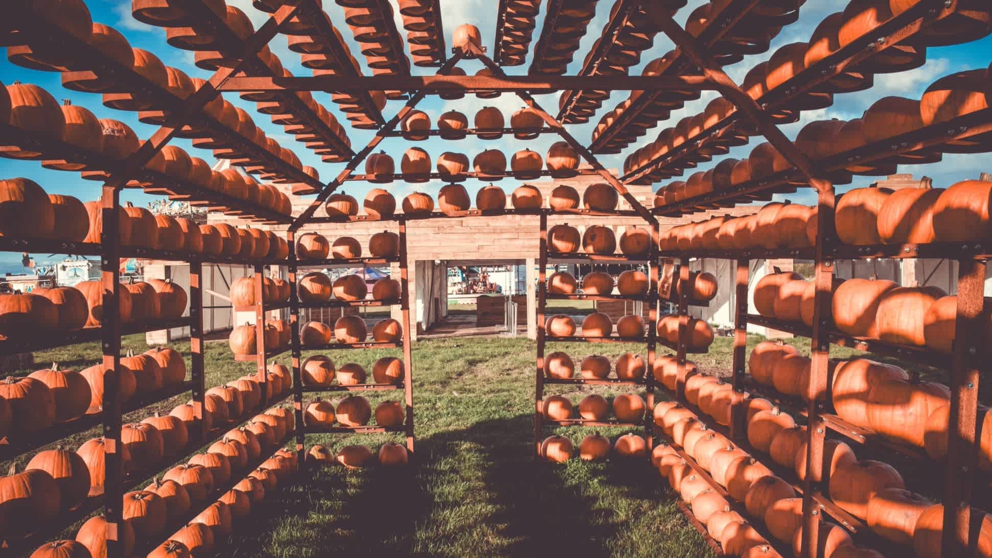 Halloween Farm