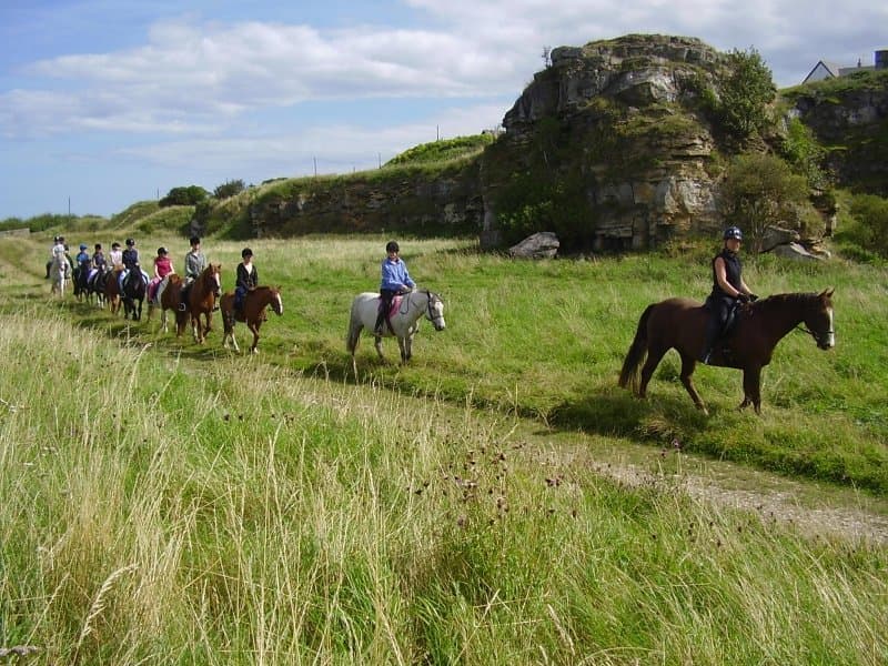 North Lizard Riding School - Photo