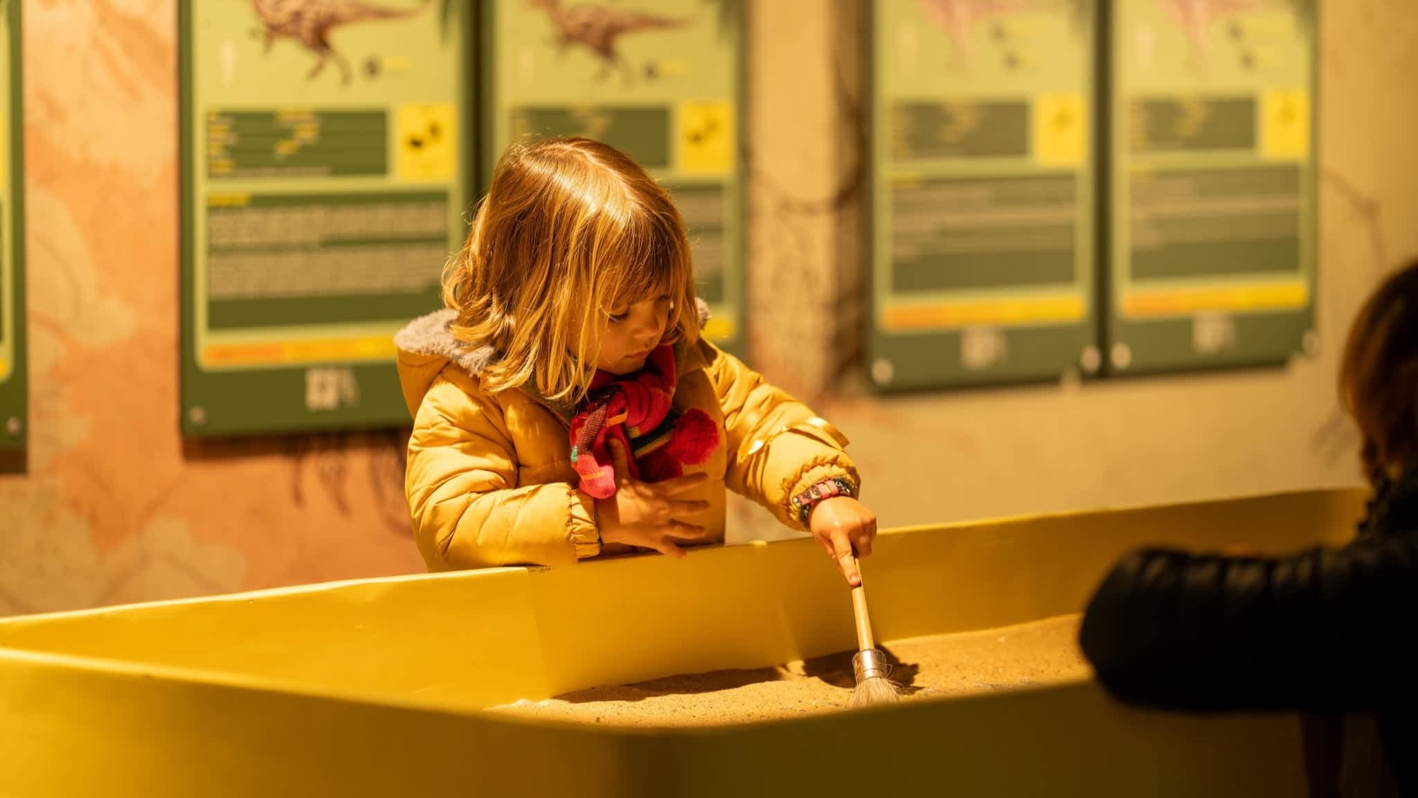 Dinos Alive: An Immersive Experience - Photo
