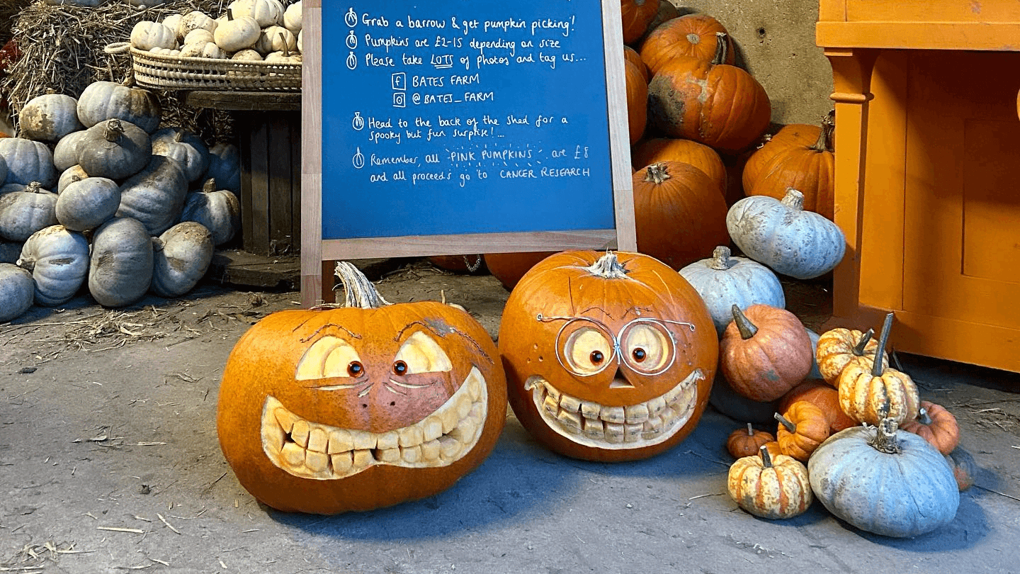 Bates Farm Pumpkin Patch