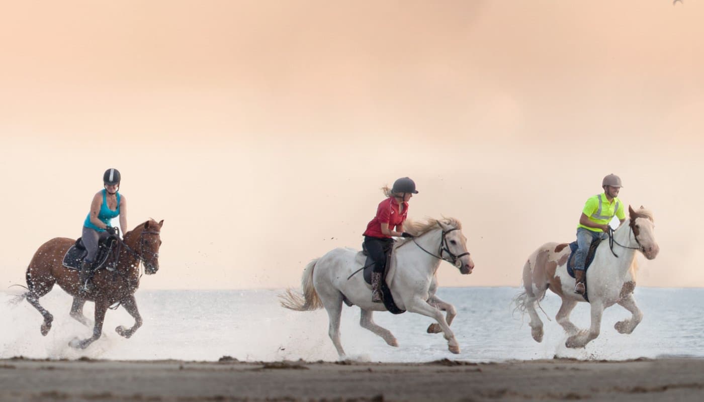 Bwlchgwyn Farm Pony Trekking Centre