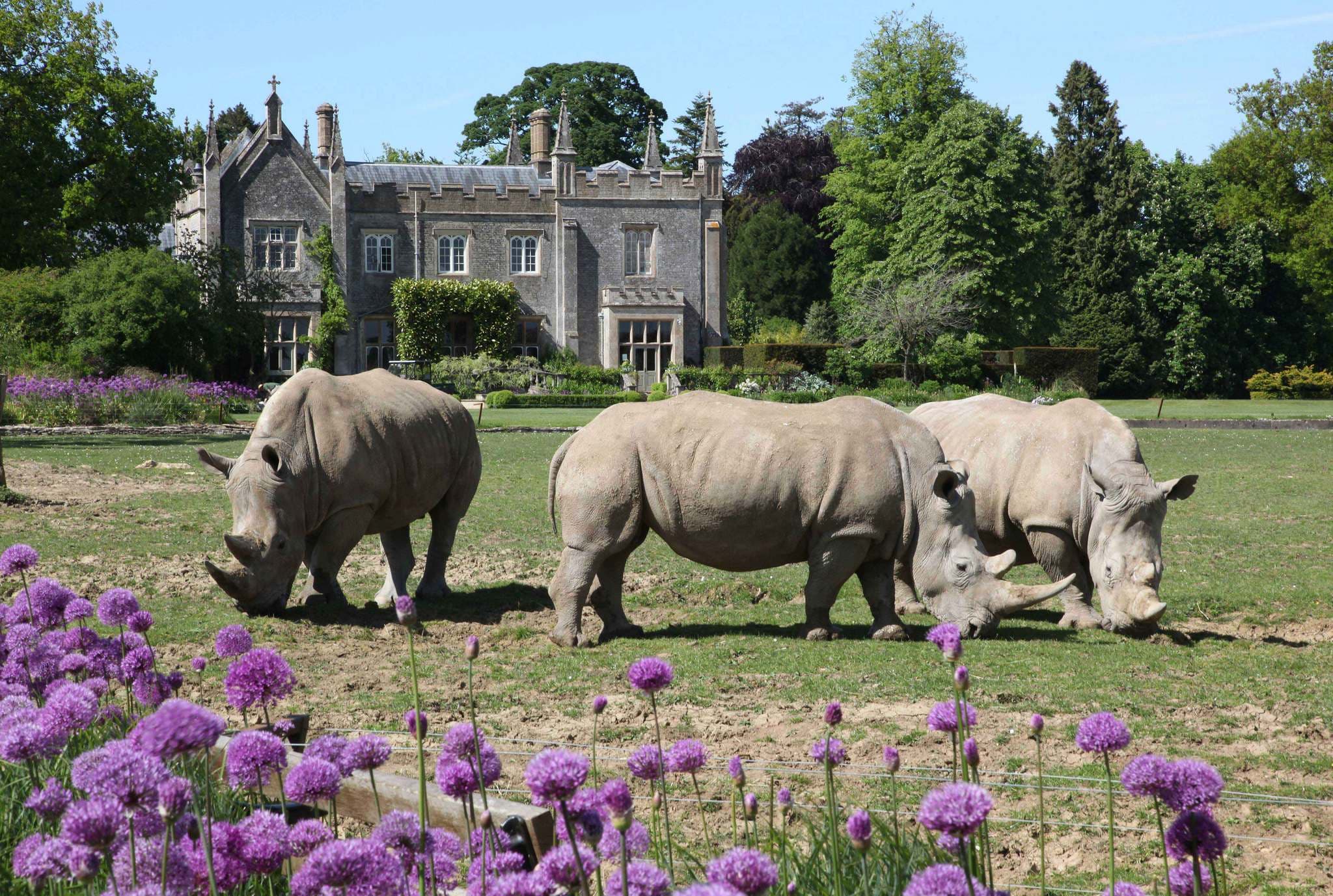 Cotswold Wildlife Park and Gardens - Photo