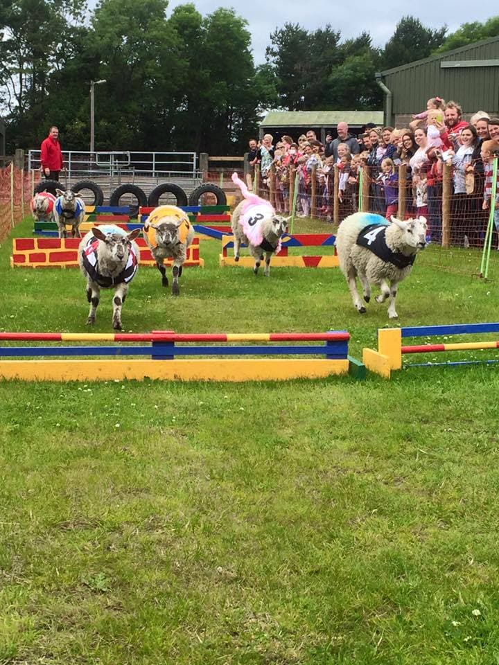 Hall Hill Playbarn