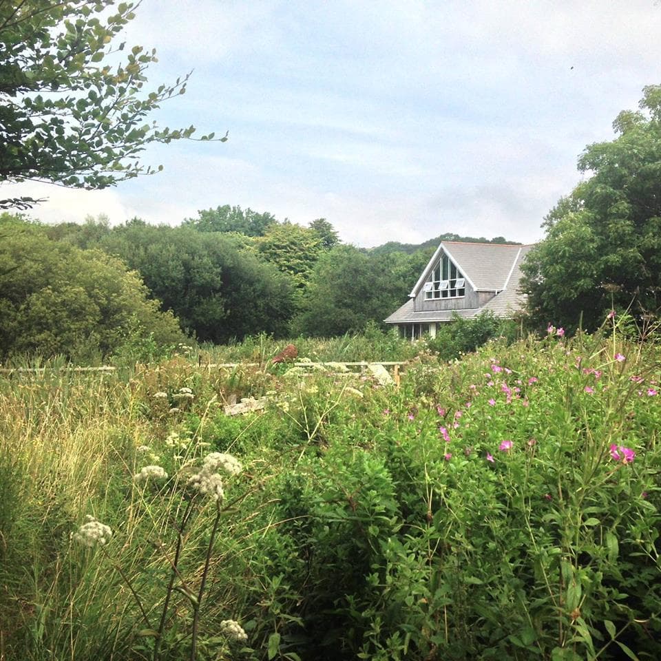 Parc Slip Nature Reserve
