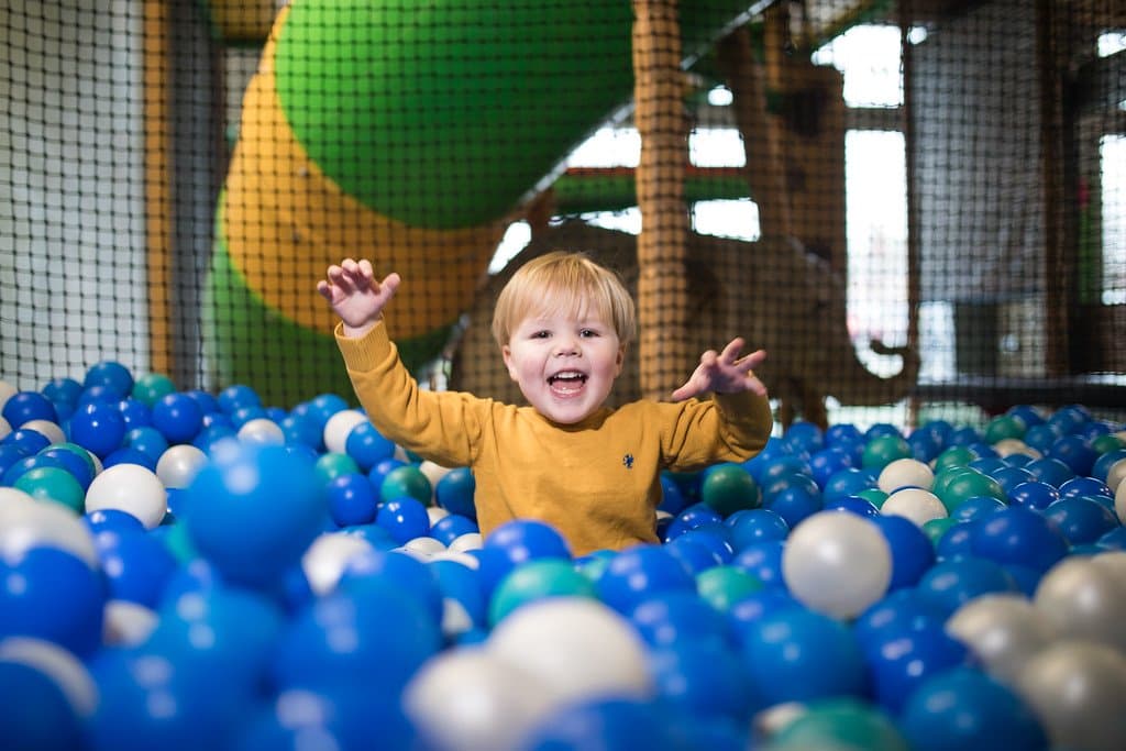 The Jungle - Wild Play and Party
