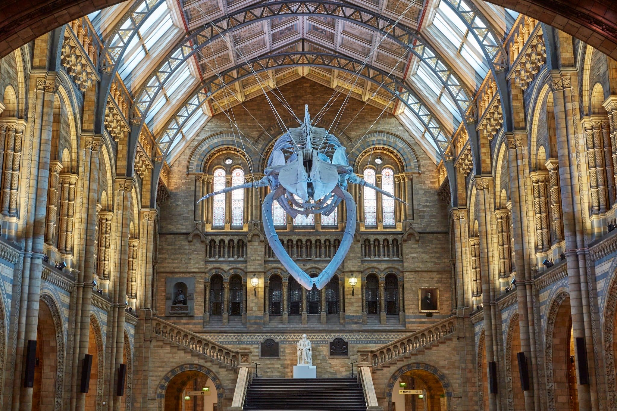 The Natural History Museum