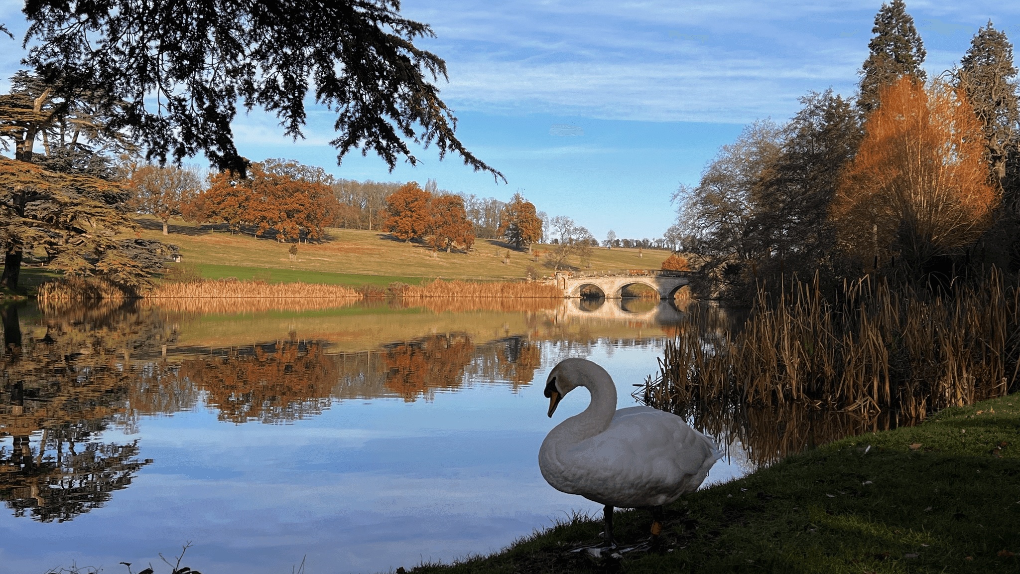 Compton Verney Art Gallery and Park - Photo