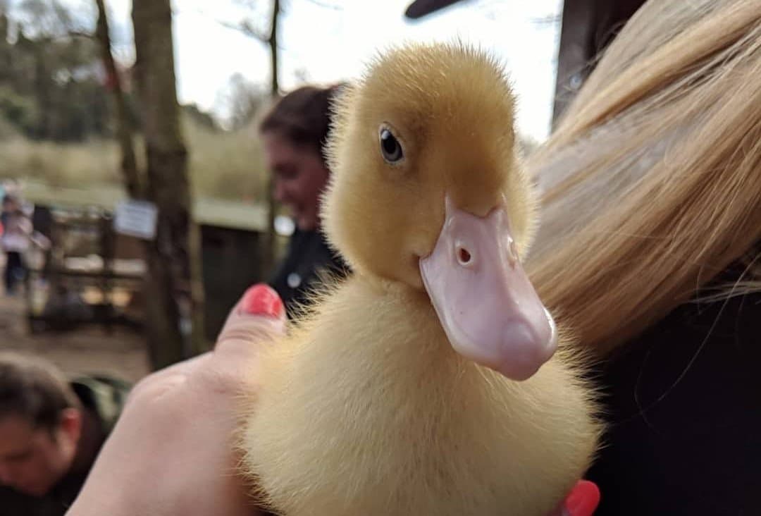 Daisy May’s Farm