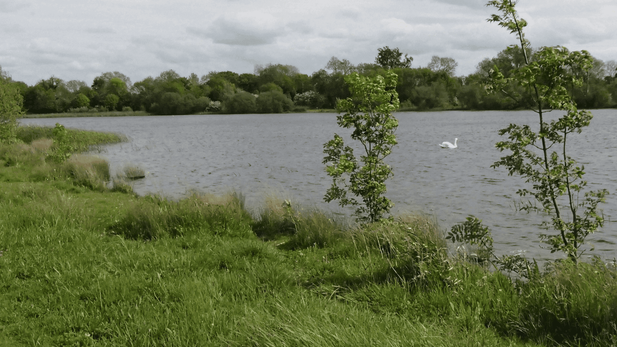 Hinchingbrooke Country Park - Photo