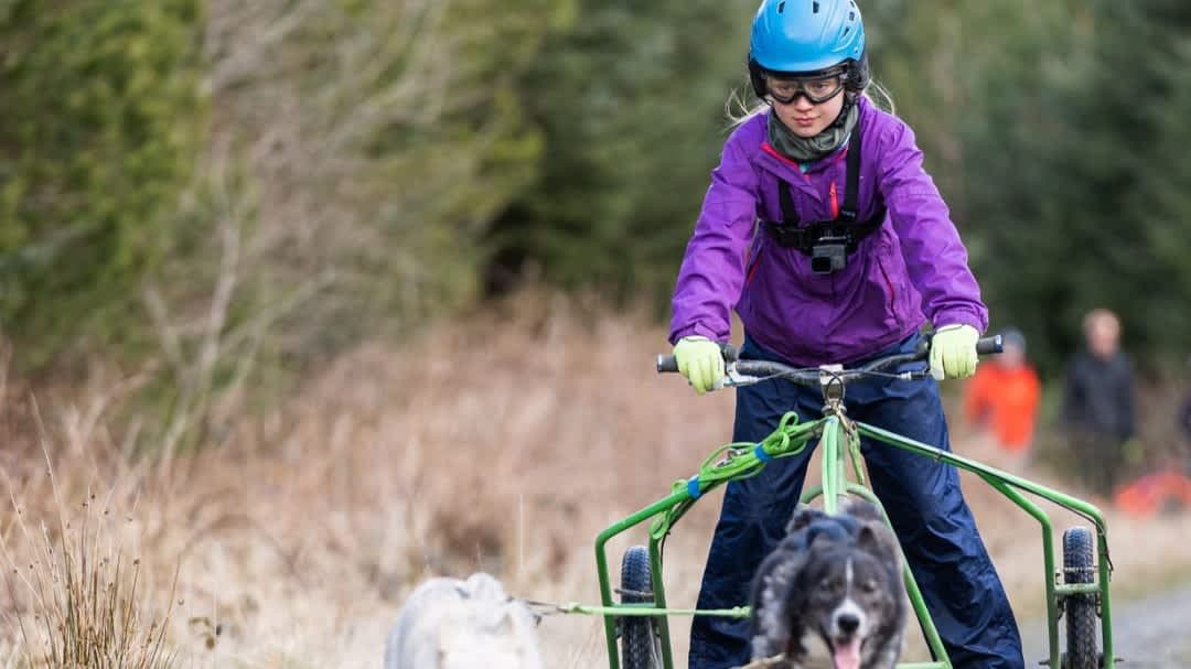 Mynydd Sleddog Adventures Ltd