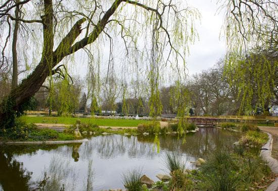 Bishops Park - Photo 1
