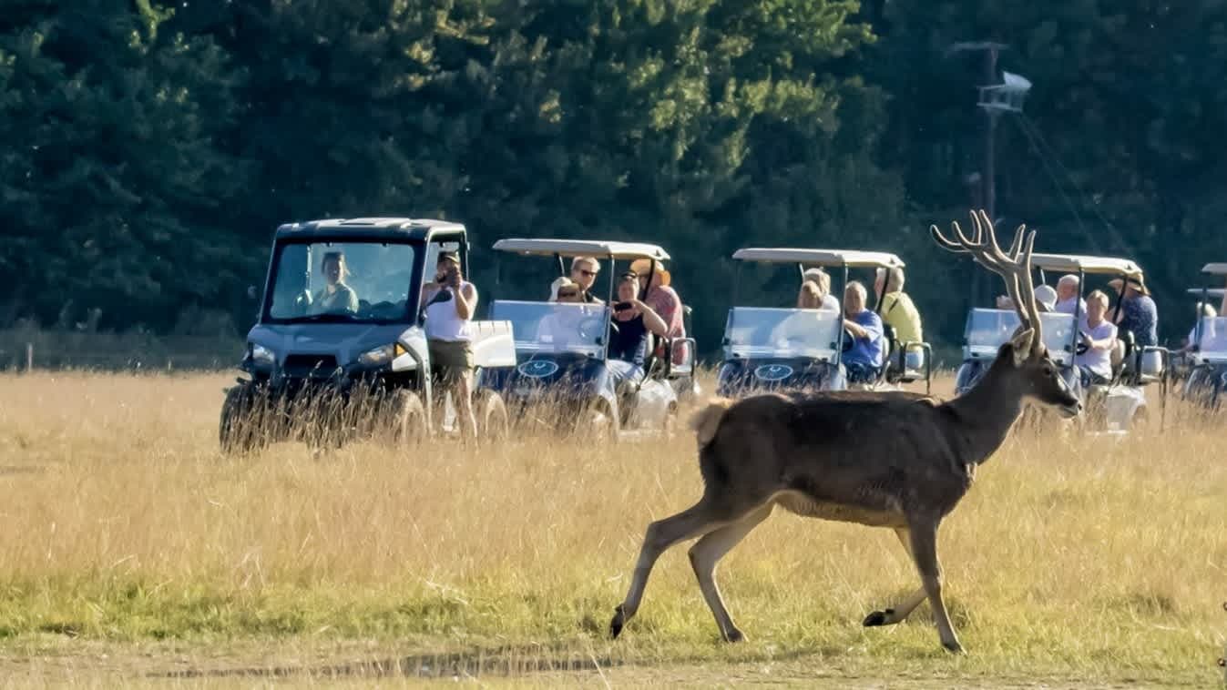 Watatunga Wildlife Reserve