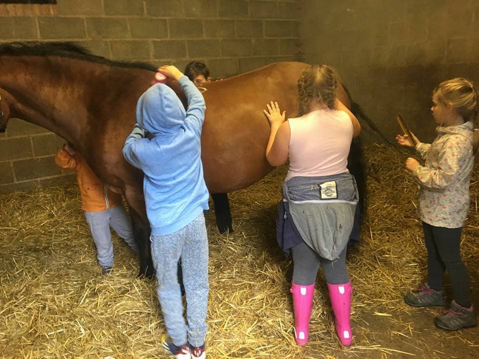 Beechley Riding Stables - Photo 1