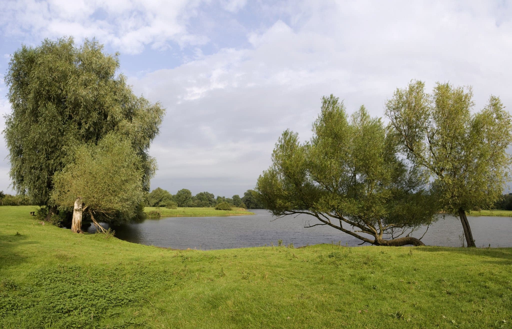 Harrold Odell Country Park - Photo 1