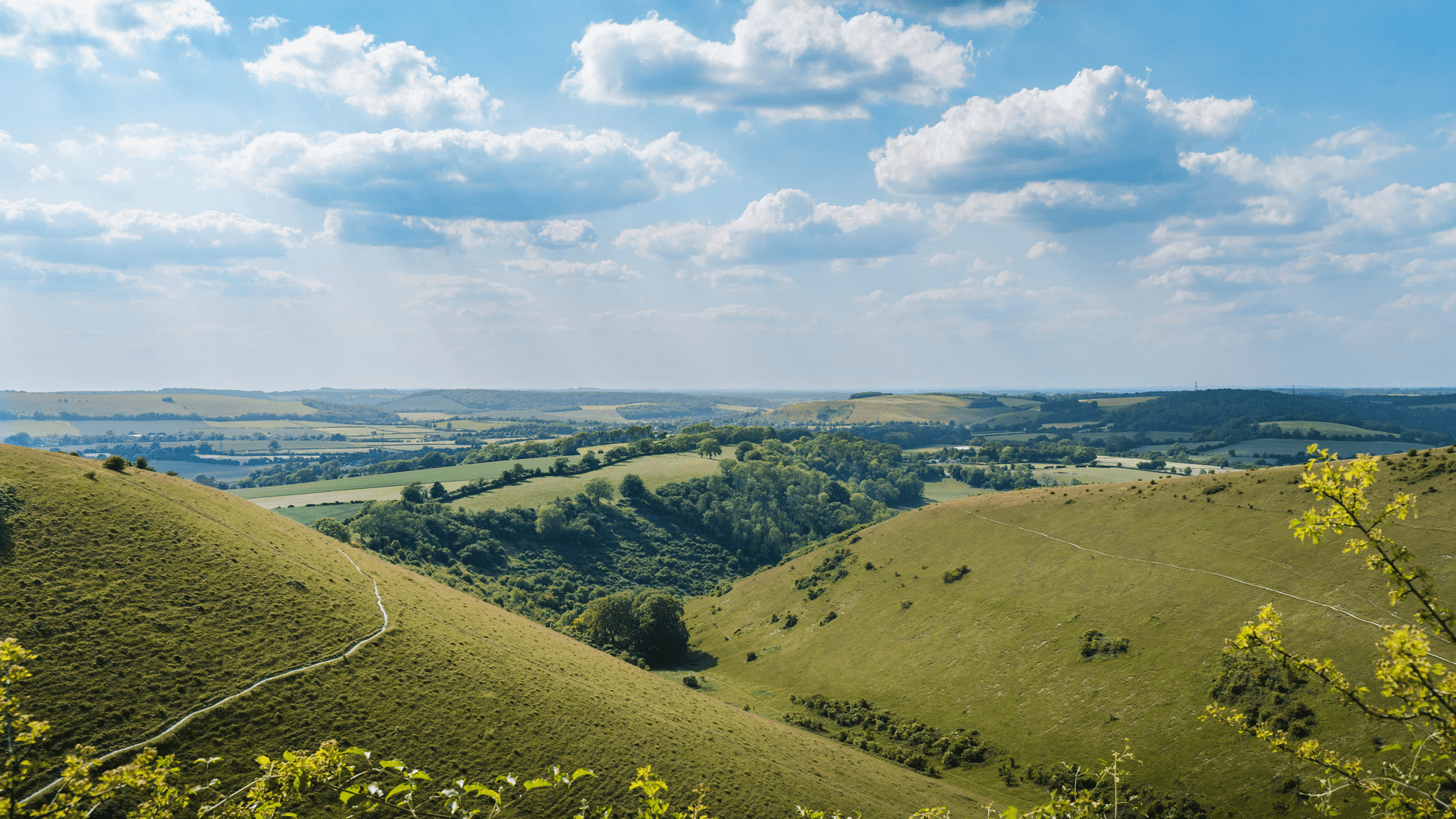 Queen Elizabeth Country Park - Photo 1