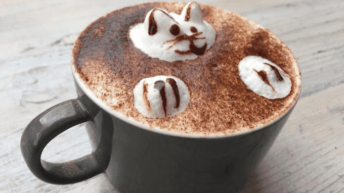 Pause Cat Cafe