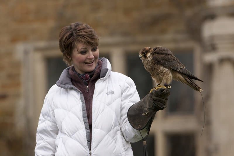 Icarus Falconry - Photo 1