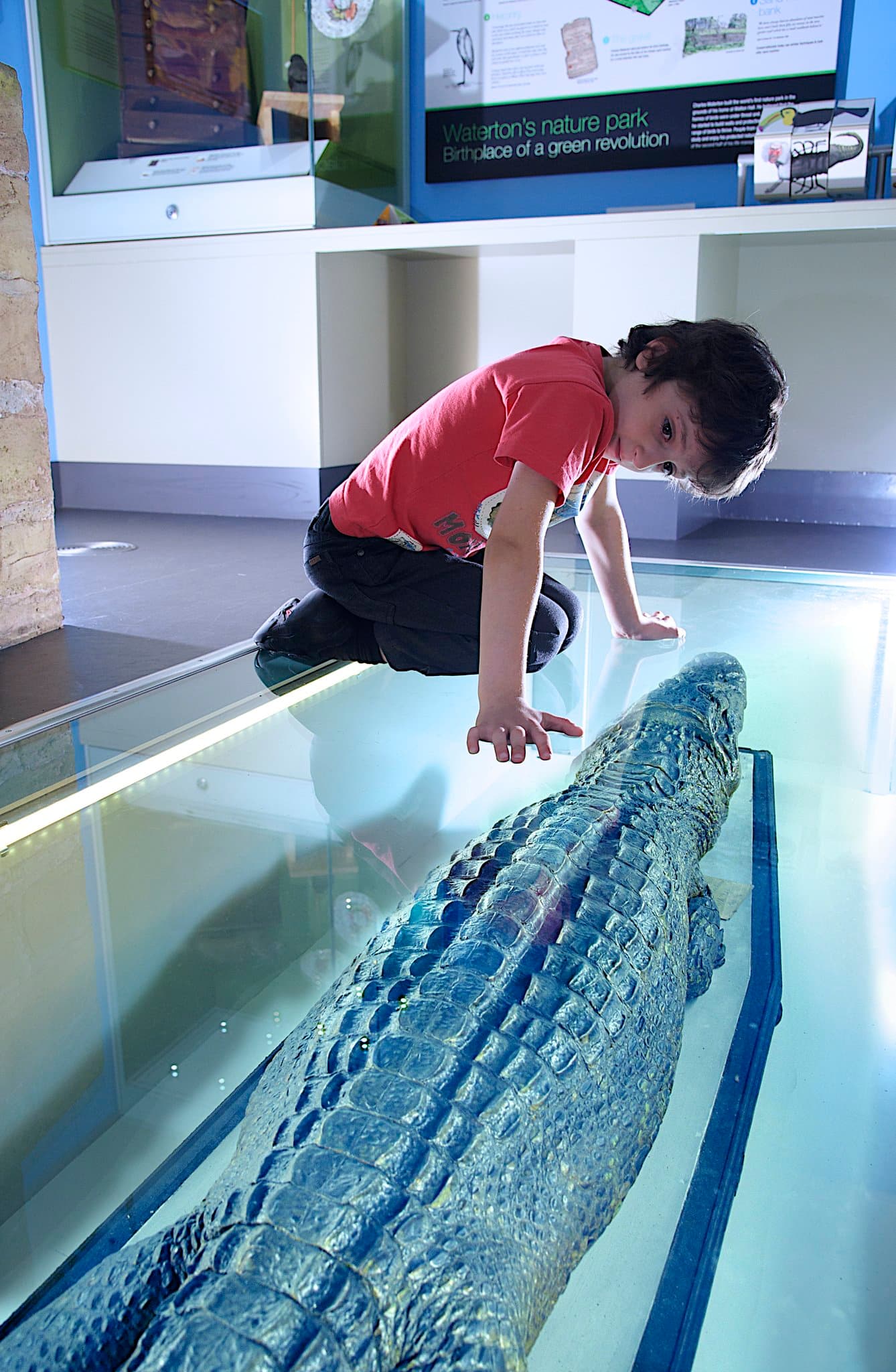 Wakefield Museum - Photo 1