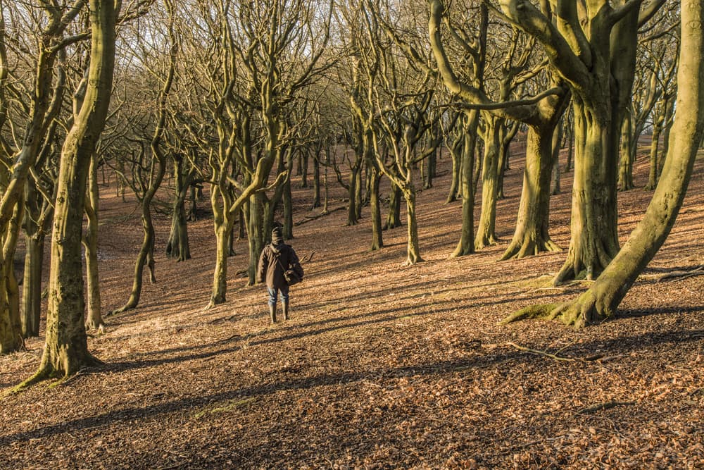 Tandle Hill Country Park - Photo 1