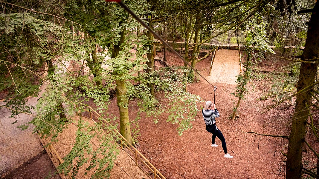 Go Ape Coventry - Photo 1