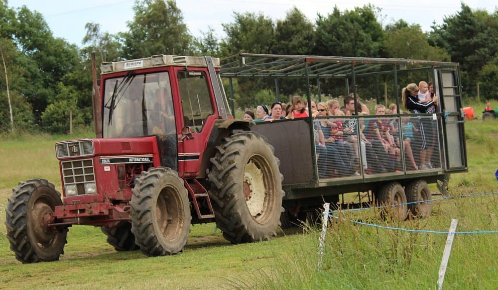 Down at the Farm - Photo 1