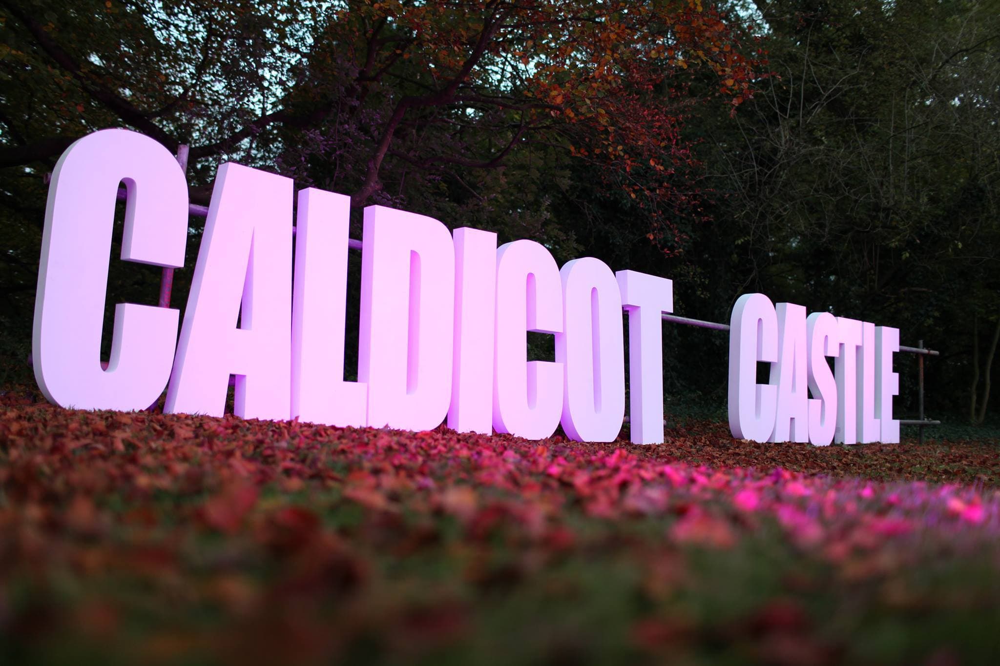 Caldicot Castle - Photo 1