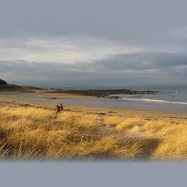 Yellowcraig - Photo 1