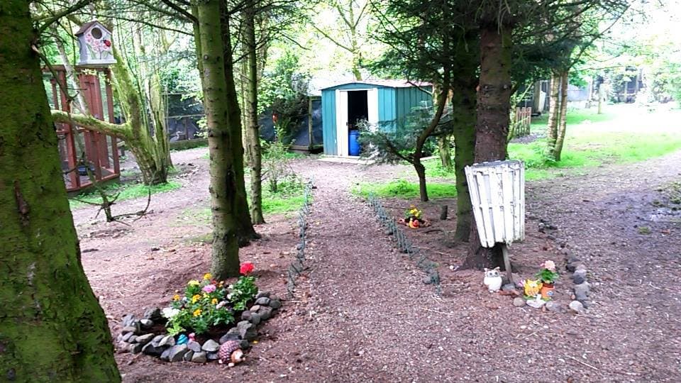 Talnotry Avian Care Trust - Photo 1