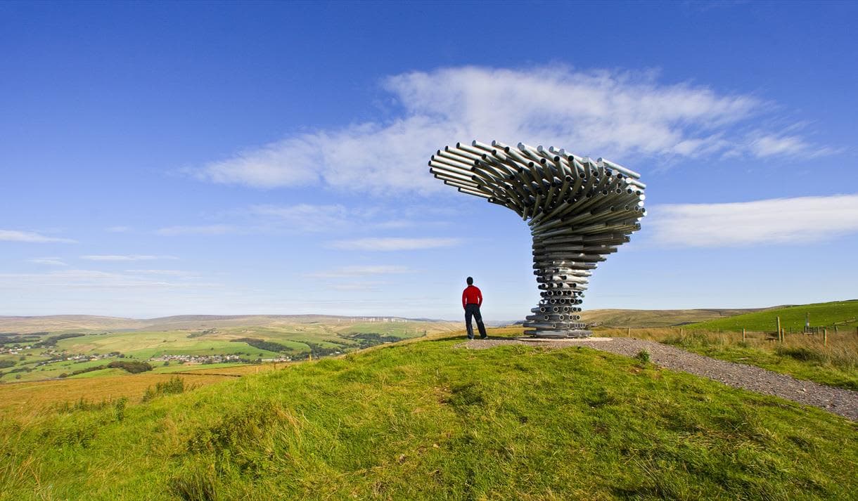 The Singing Ringing Tree - Photo 1
