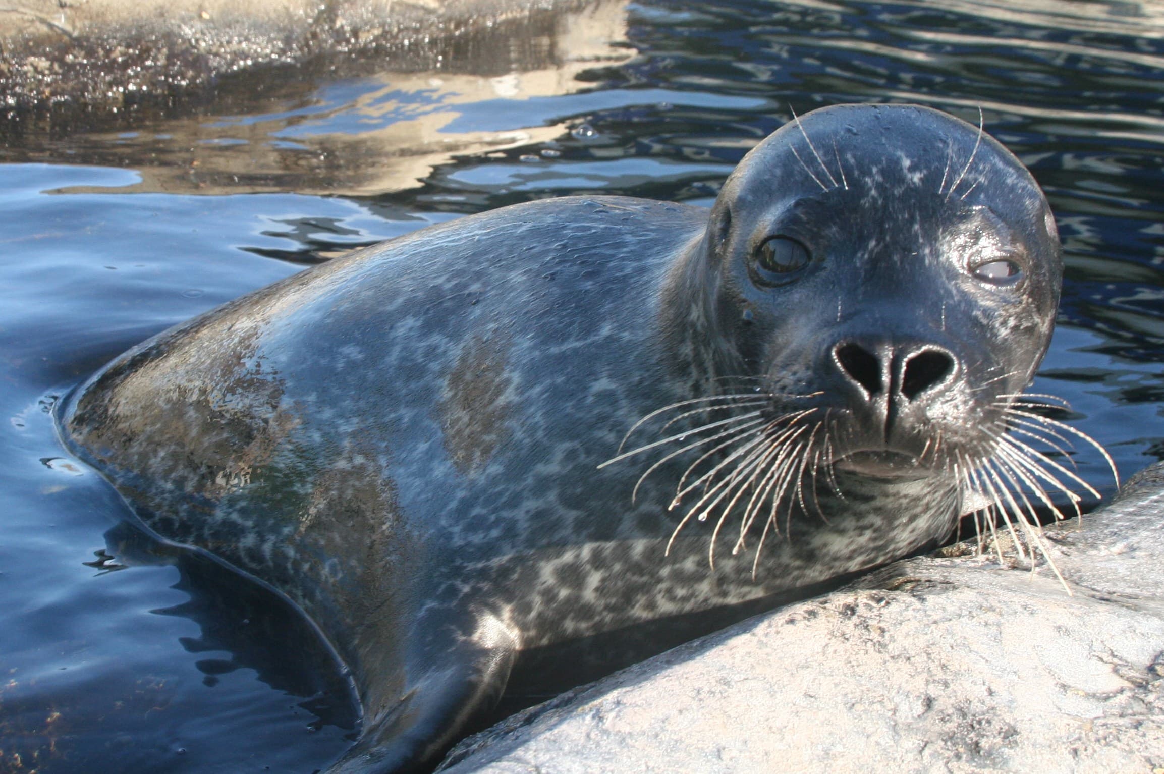 Tynemouth Aquarium - Photo 1