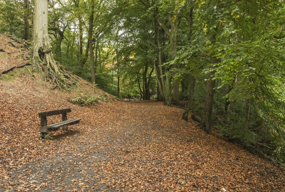 Daisy Nook Country Park - Photo 1