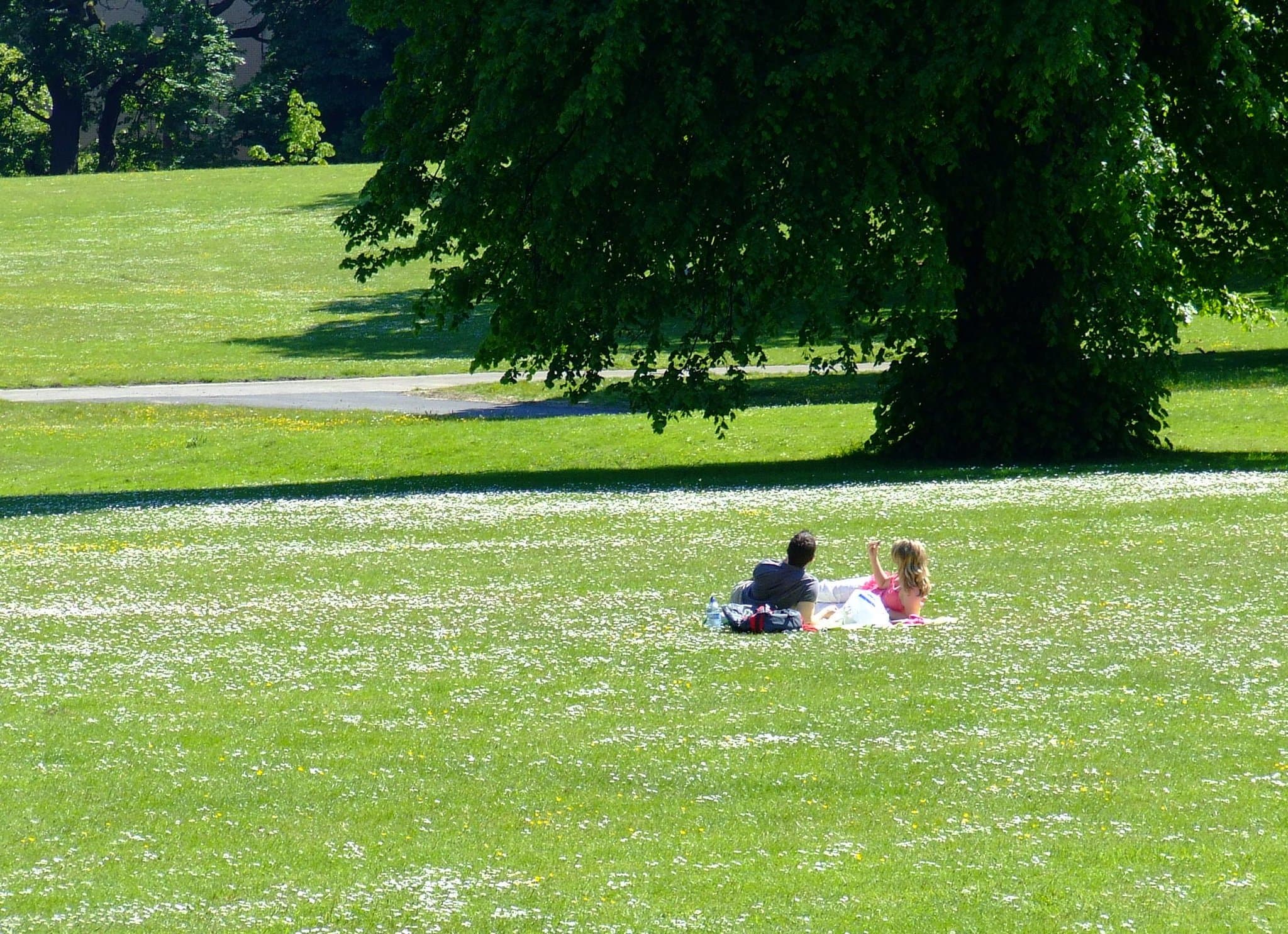 Singleton Park - Photo 1