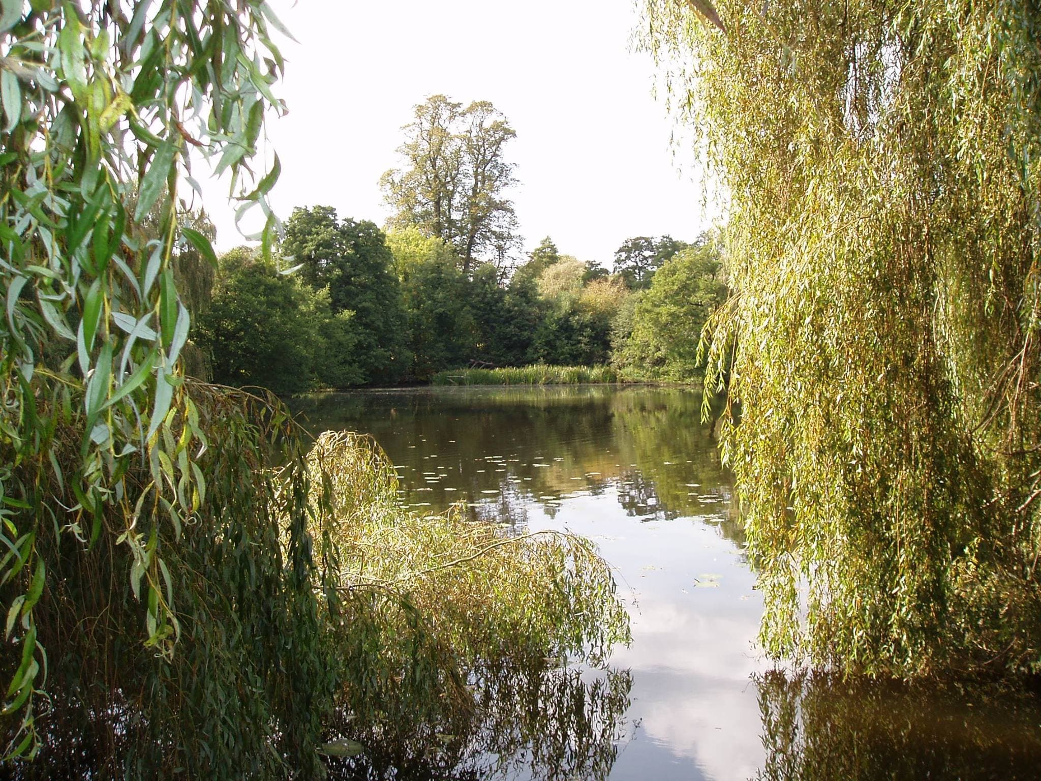 Staunton Harold Reservoir - Photo 1