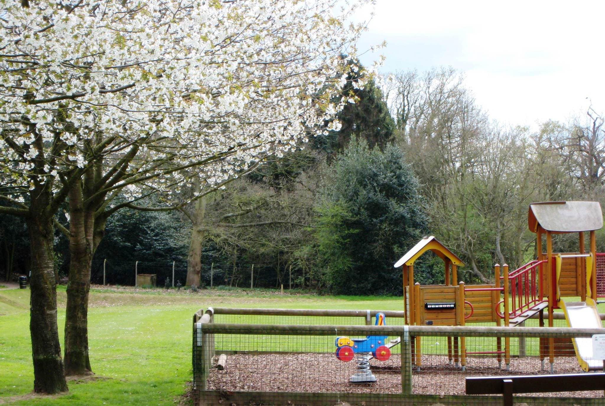 Pope's Meadow - Photo 1