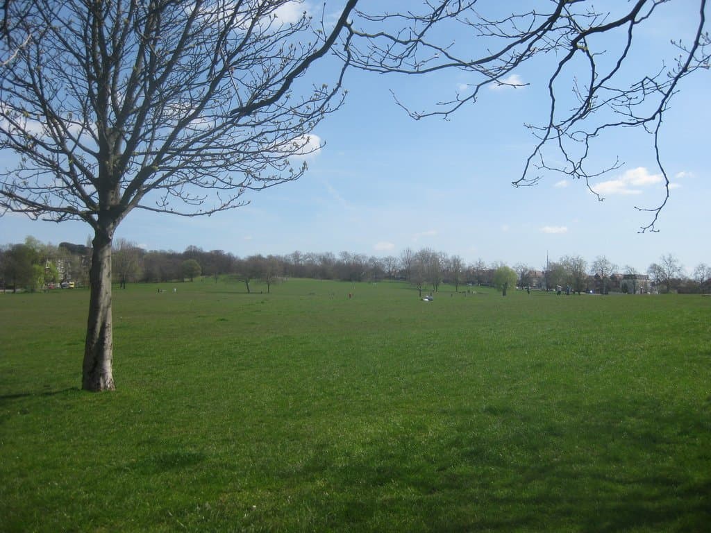Streatham Common - Photo 1