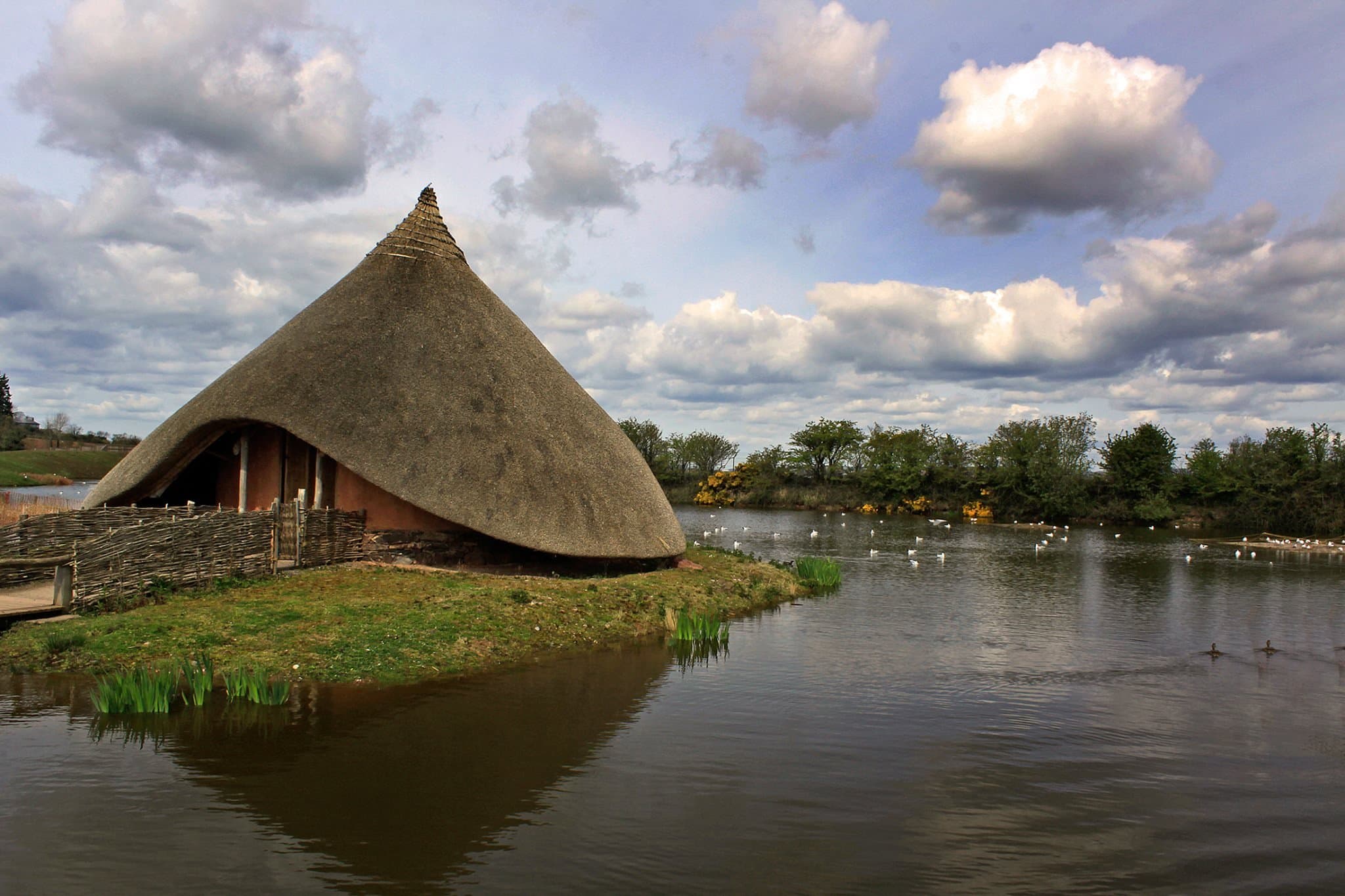WWT Castle Espie - Photo 1