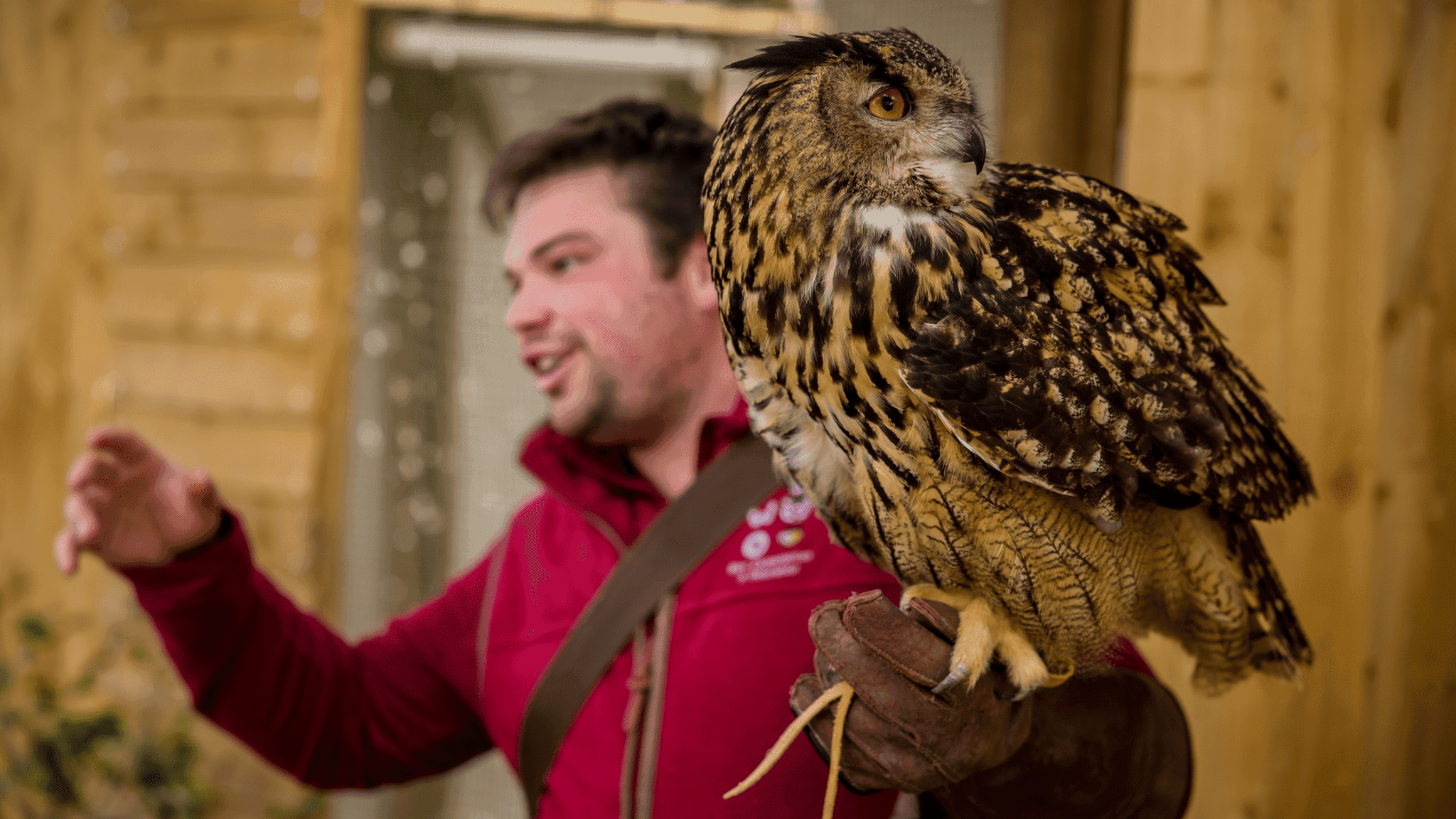 TWO Bird Experiences - Photo 1